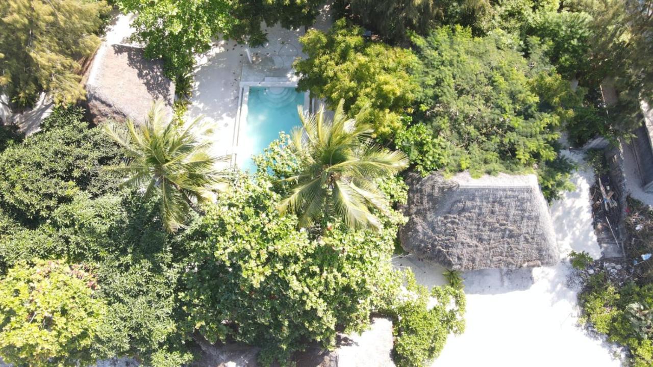 Garden Beach Bungalows Jambiani Jambiani  Eksteriør billede