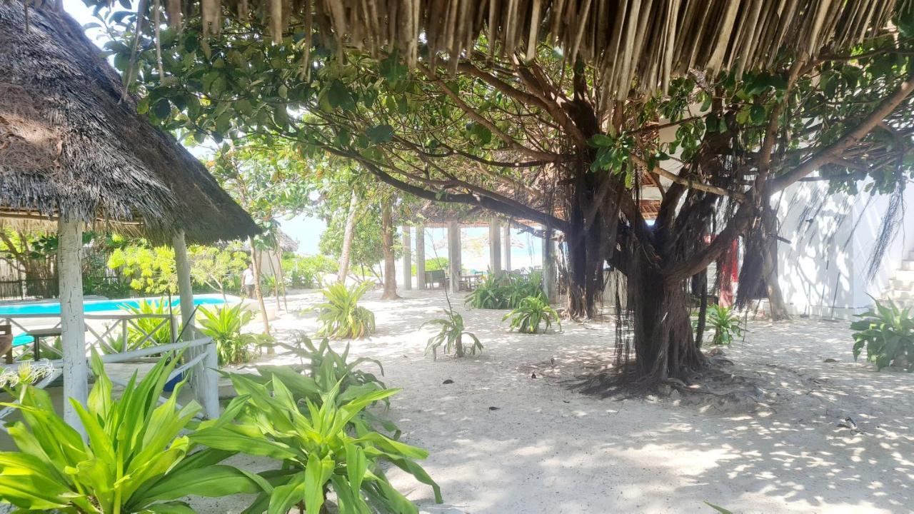 Garden Beach Bungalows Jambiani Jambiani  Eksteriør billede