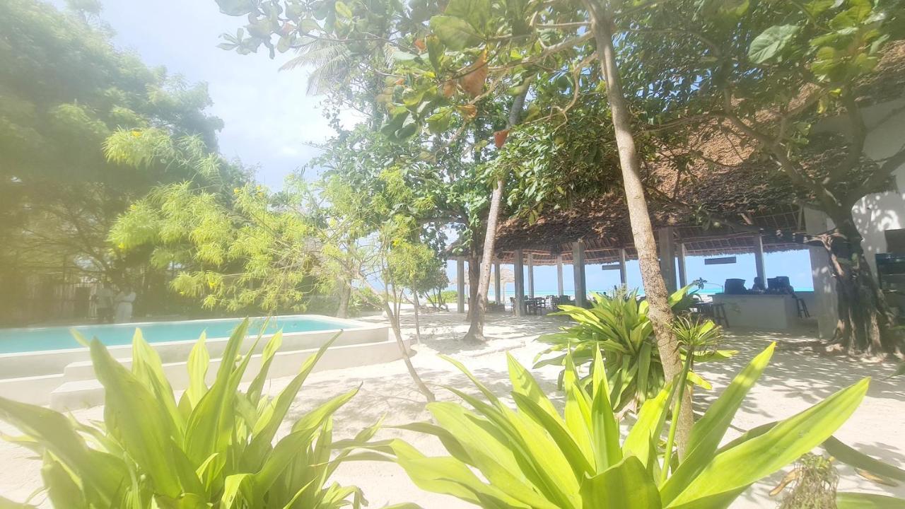 Garden Beach Bungalows Jambiani Jambiani  Eksteriør billede